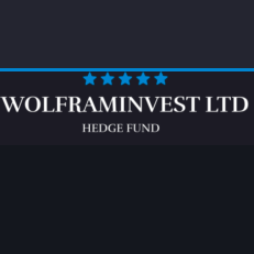 WolframInvest Ltd. Review: A Comprehensive Analysis of the Investment Company 1 (3)