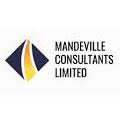 Mandeville Consultants Limited: Comprehensive Investment Company Review 1 (3)