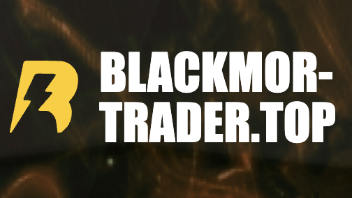 Review of BLACKMOR-TRADER: Investment Company Analysis and Evaluation 2 (7)