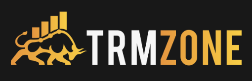 TRMZONE Brokerage Firm Review: Services, Fees, User Experience, Pros & Cons